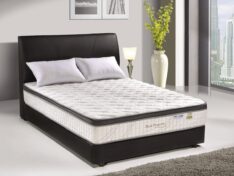 BACK PROTECTOR 1 * Sensotic Anti-Static * Imported Knitted Fabric * Plush Top * Non Flip * Open Coil * 10 Years Guarantee