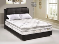 BACK PROTECTOR 2 * Pillow Top on Plush Top * Non Flip * Open Coil * Imported Knitted Fabric * 10 Years Guarantee * Eulan 3-in-1 Treatment -Anti Dustmites -Anti Mosquitoes -Anti Bedbugs